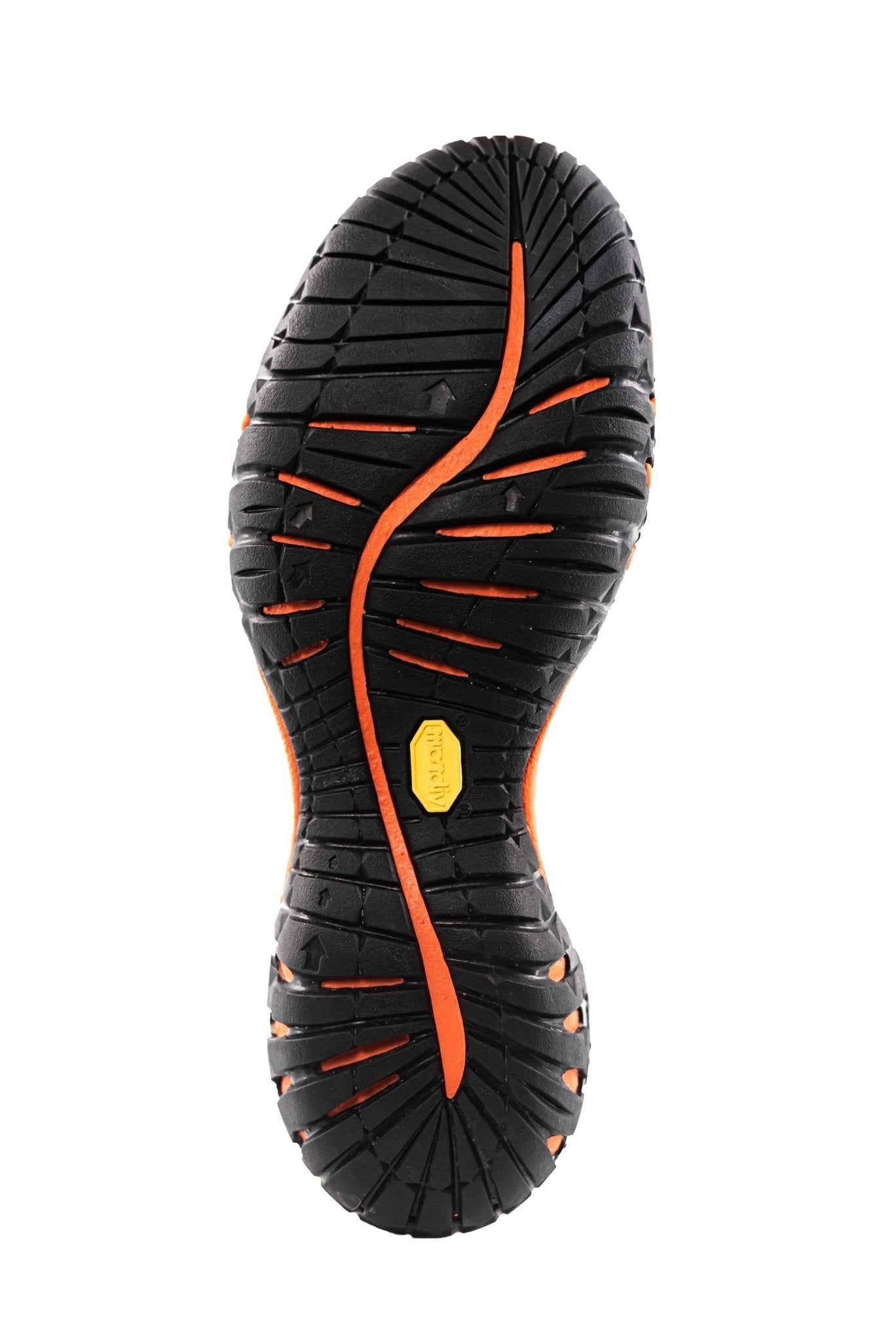 SG Energy Orange - Cieli Equestrian