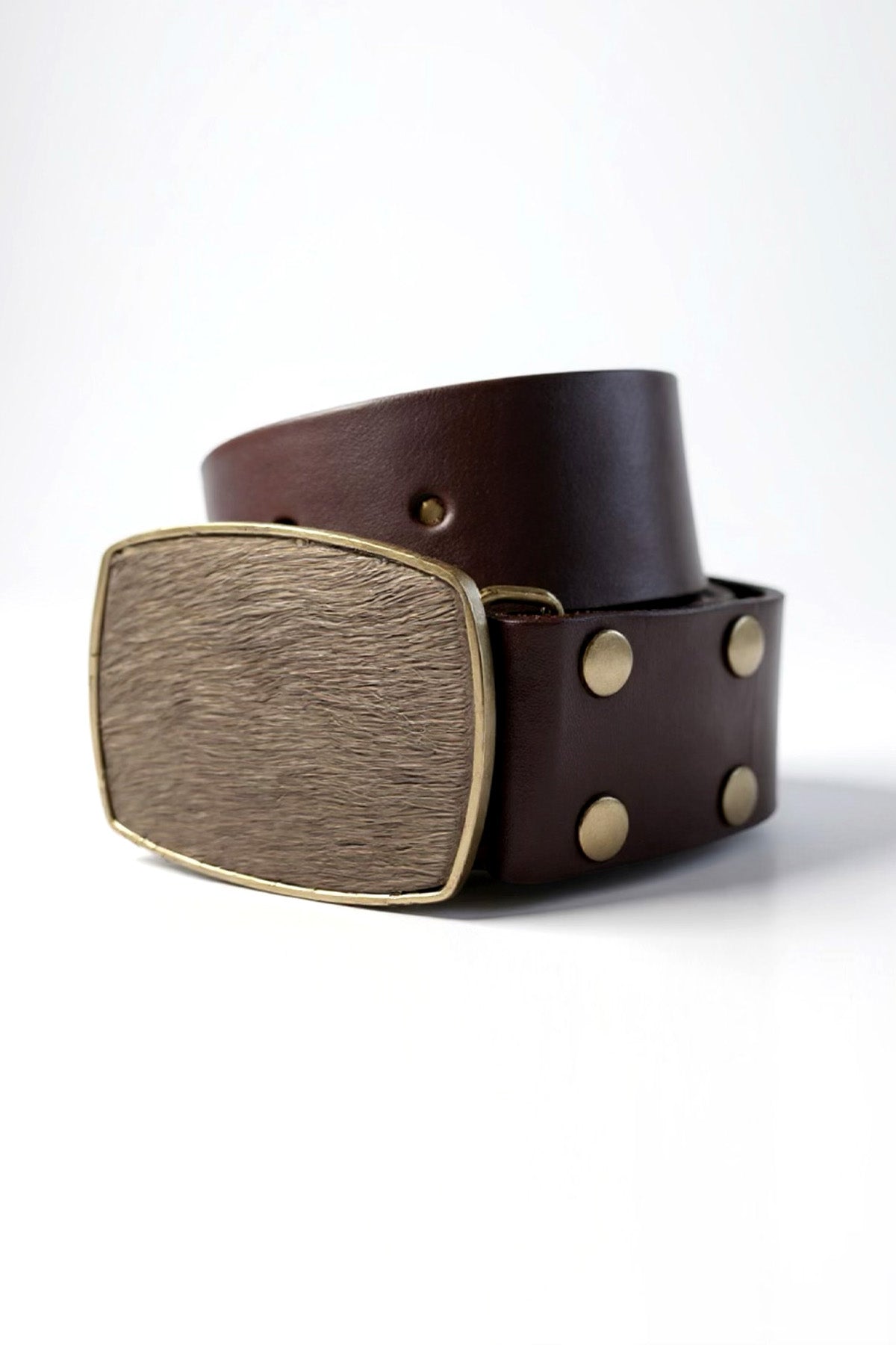 Brown leather belt with a gold buckle on a white background
