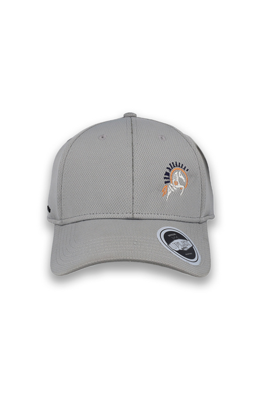 Gray cap with embroidered logo on a white background